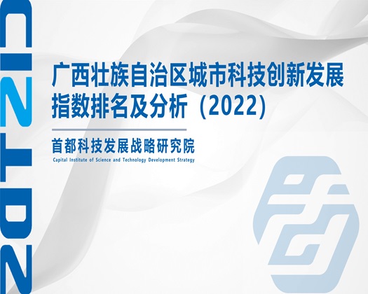 在线电影你懂的亚洲一【成果发布】广西壮族自治区城市科技创新发展指数排名及分析（2022）